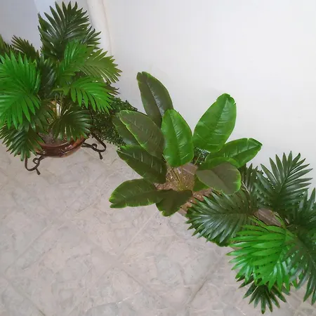 Hestia Apartamento Náuplia